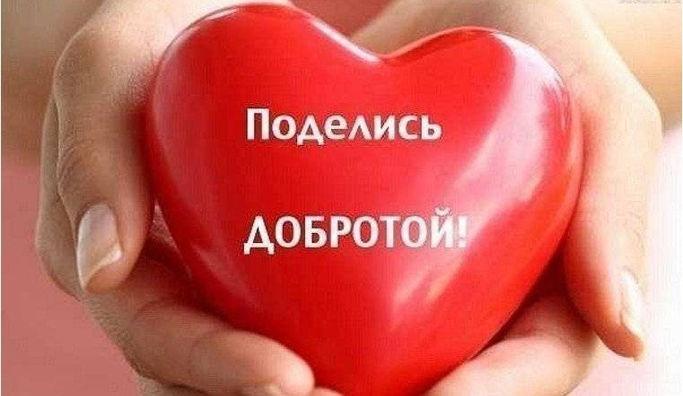 День спонтанного проявления доброты отмечают в России 17 февраля 2023 года