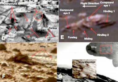 Внеземная жизнь в Солнечной системе: что там есть такого, о чём мы и не догадывались
