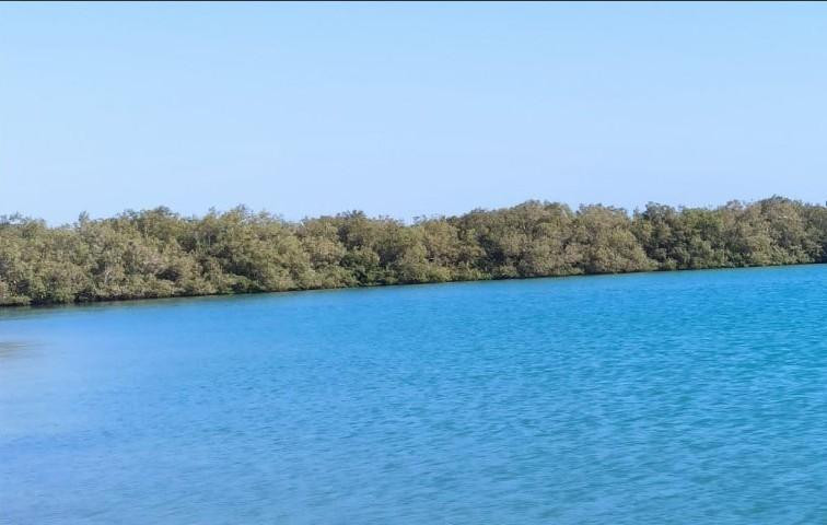 Во Вьетнаме опасаются катастрофы из-за мусора, что оставляют туристы