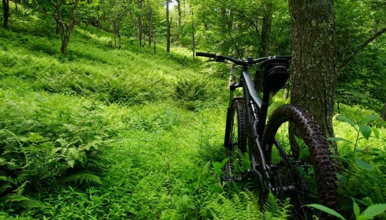 Specialized представили электровелосипед Turbo Tero X для бездорожья