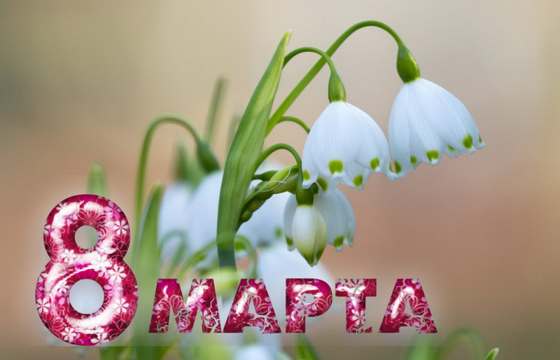Поздравления с 8 марта учителю: стихи, проза и открытки для женщин-педагогов