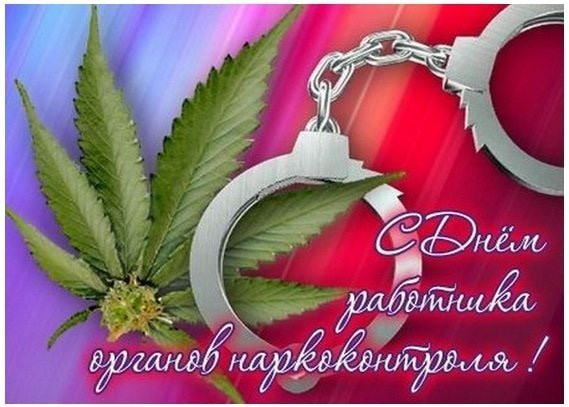 Как поздравить коллег с Днём работника органов наркоконтроля в России 11 марта 2023 года