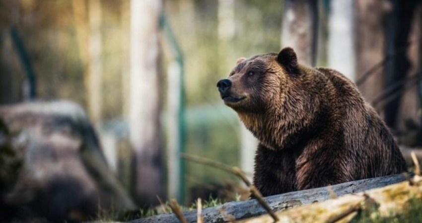Значение старинных примет в праздник 26 марта 2023 года, строгие запреты дня