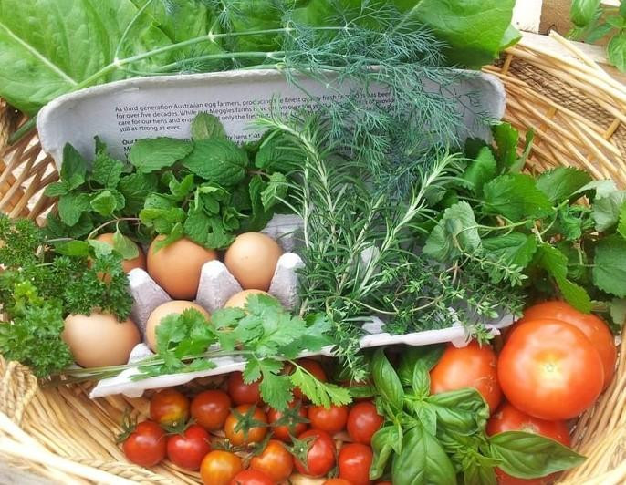 Названы неожиданные продукты, устраняющие похмельный синдром