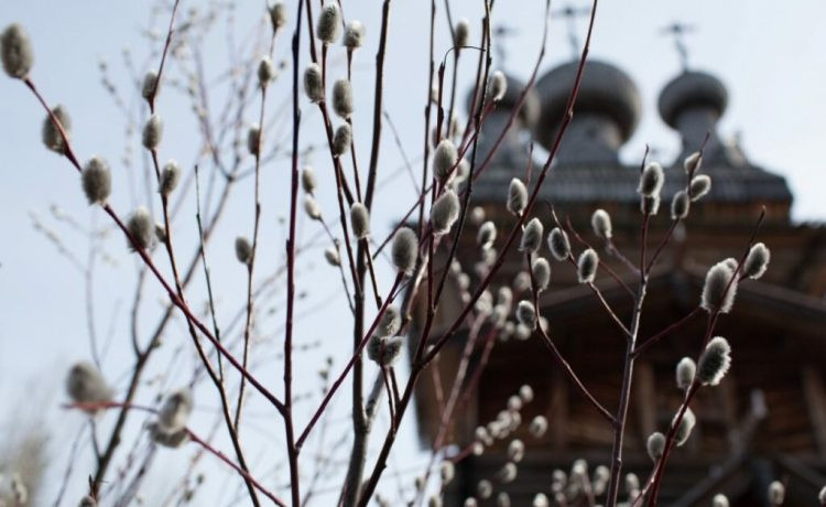 В Вербное воскресенье следует избегать злых мыслей и поступков, не тратить силы на негатив, дарить миру свет и добро