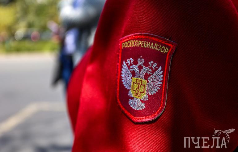 В Челябинской области мошенница продавала протухшее мясо через соцсети