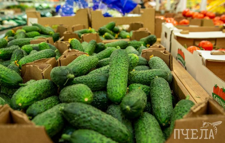 Почему вес стоит, даже если вы на диете, рассказала эндокринолог