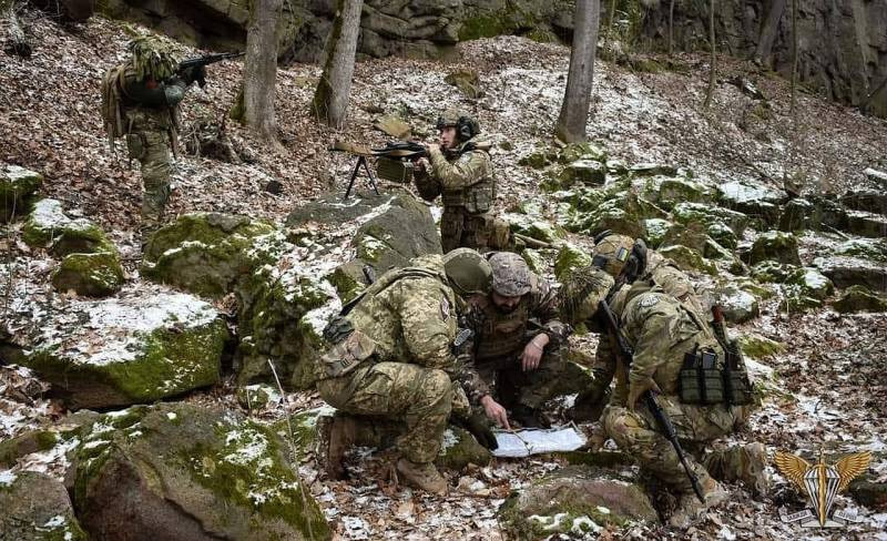 Минобороны: ВС РФ пресекли вылазки четырех украинских ДРГ в ЛНР и Харьковской областти