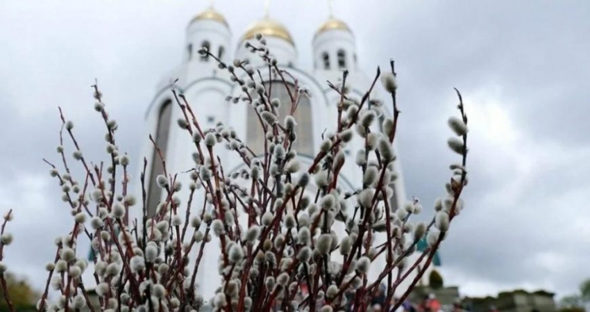 Как правильно освятить вербу в церкви на Вербное воскресенье в 2023 году