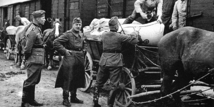 Германия обещает Польше помочь вывезти украинское зерно. Нет, это не 1942-ой, это 2022 год…