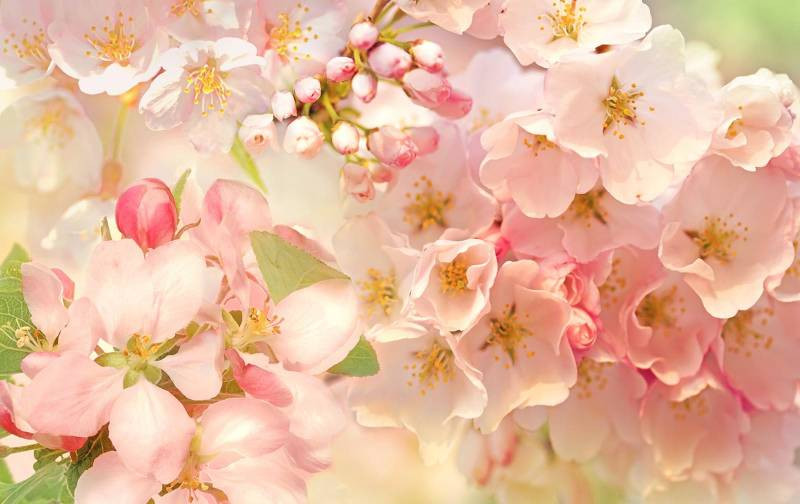 Столкновение энергий Огня и Воды: прогноз Ба Цзы на май 2023 года