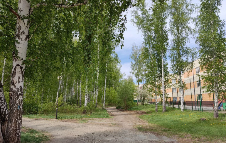 В «Парковом» появятся новые сквер и экотропа