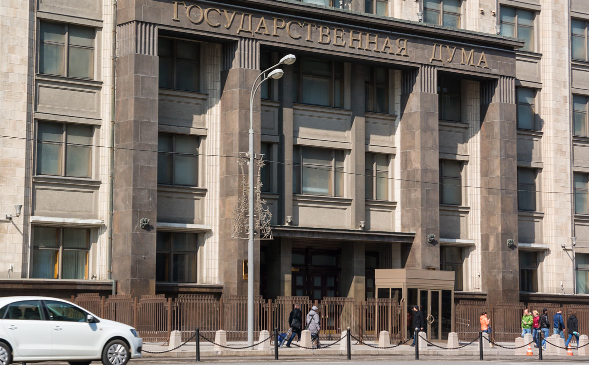 В ГД Бессараб выступила против ежегодных выплат российским семьям в День защиты детей