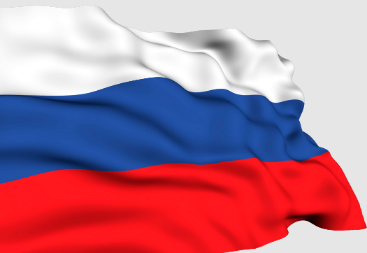 Размещение флага России на автономерах просят сделать обязательным