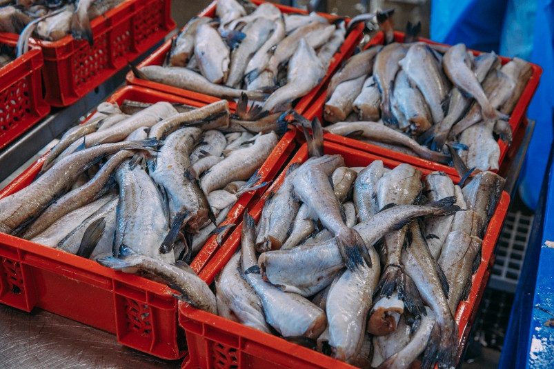 Подход к оценке объемов выпуска продукции по инвестквотам требует доработки – АСРФ