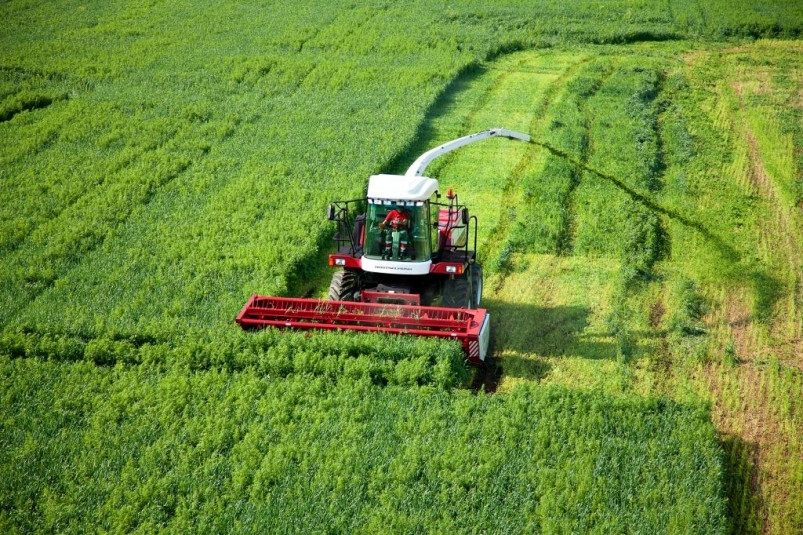 Есть такой комбайн! Простой, удобный, экономичный, работящий