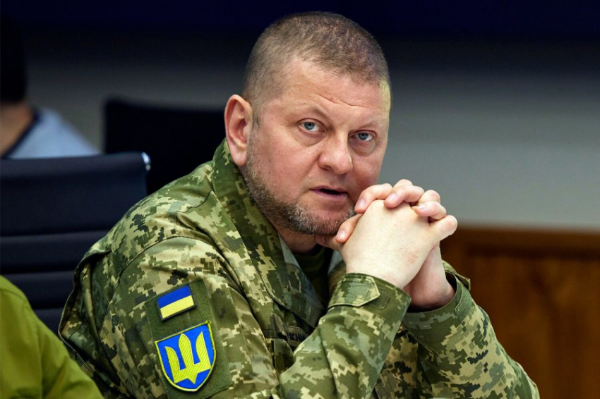 Главком ВСУ Залужный заявил, что его «бесят» комментарии о медленном продвижении армии Украины