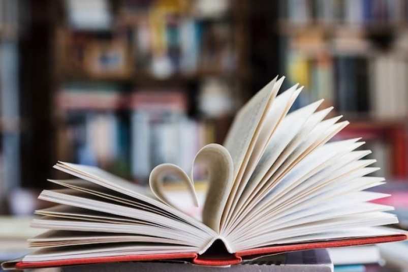 Во Владивостоке приглашают на книжный пикник