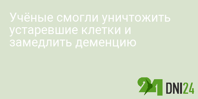 Учёные смогли уничтожить устаревшие клетки и замедлить деменцию
