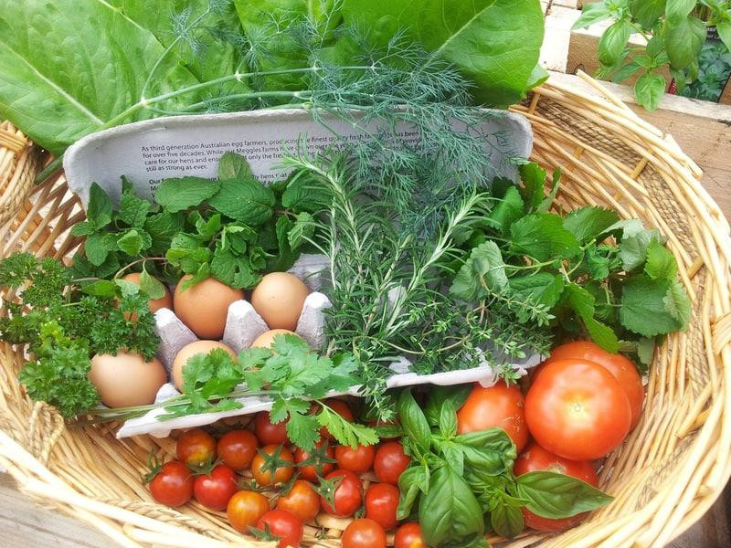 Врач-диетолог Соломатина назвала главные продукты для здоровья людей после 50 лет