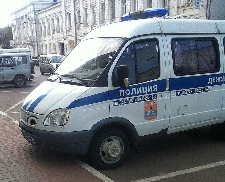 Москвичку подозревают в торговле детьми после обнаружения у нее более 10 детей