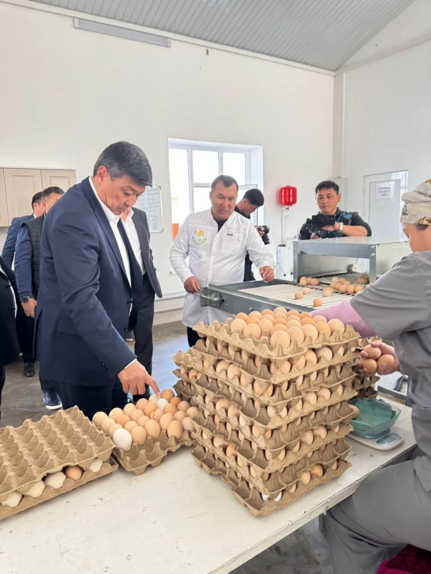 В Базар-Коргоне завершается строительство крупной птицефабрики за 185 млн сомов
