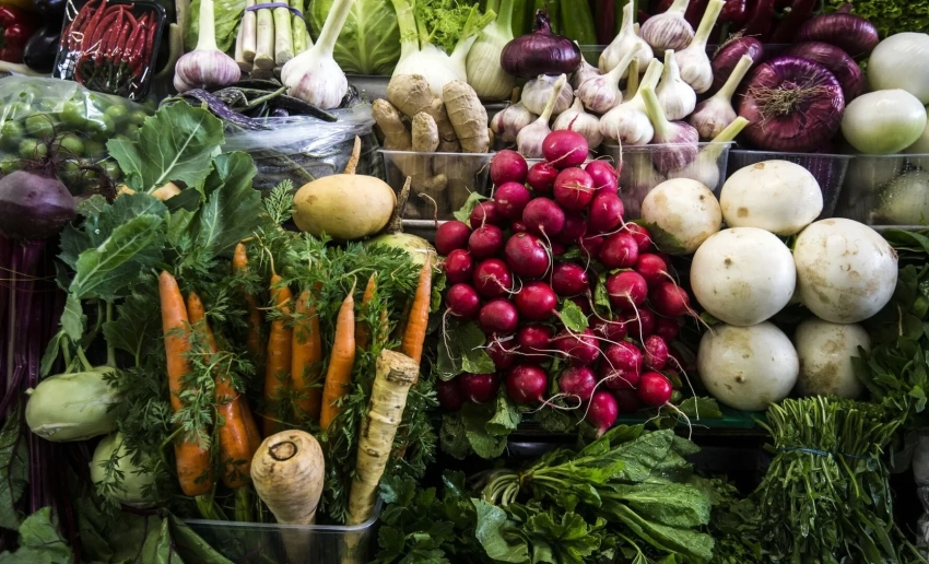 Наивысшая урожайность овощей зафиксирована в Чуйской и Ошской областях