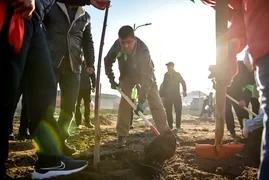 В Бишкеке высадили более 500 деревьев в рамках осенней кампании по озеленению