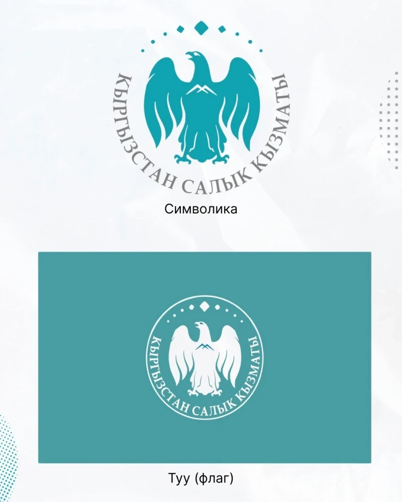 У налоговой службы Кыргызстана новые флаг и символика