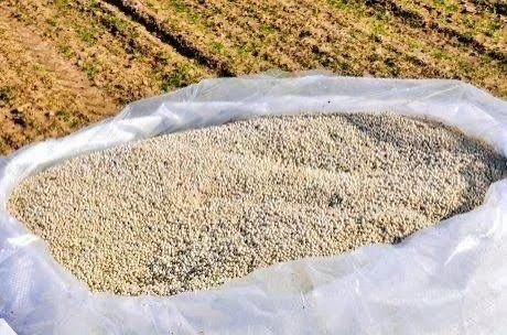 В КР внедрён новый метод посева семян, доказавший свою эффективность