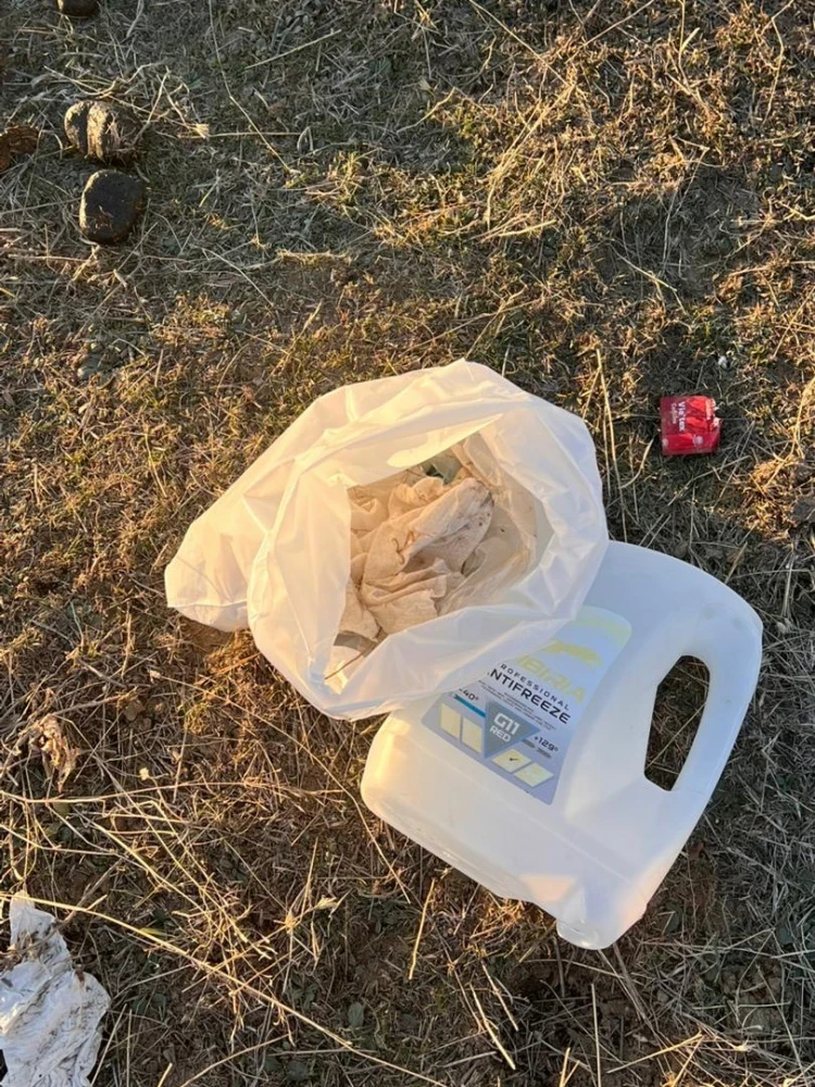 "Это же наша Родина!" Женщина возмущена, что в Горной Маевке отдыхающие оставляют мусор