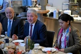 Адылбек Касымалиев провел встречу с депутатами Бундестага