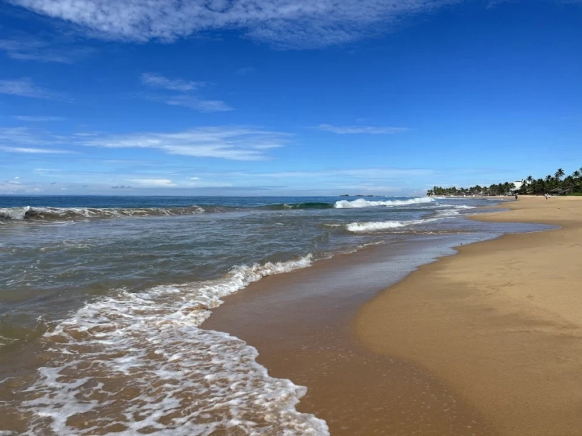 Отдых на Шри-Ланке: главный гид для кыргызстанцев