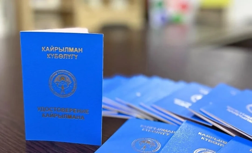 В Минтруда рассказали, сколько этнических кыргызов получили статус кайрылмана за 9 месяцев