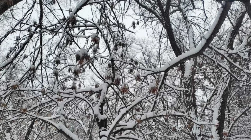 Дожди, снег и гололед ожидаются в Казахстане
