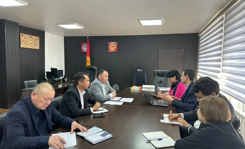 Минсельхоз и GIZ договорились усилить сотрудничество по климатустойчивости пастбищ