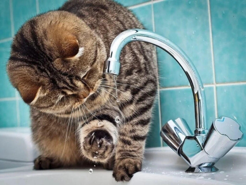 Завтра в некоторых районах Бишкека отключат воду