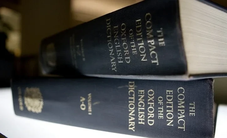 Оксфордский словарь назвал слово 2025 года