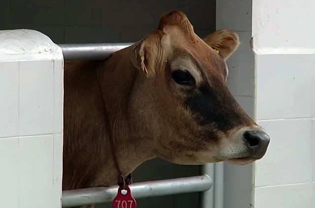 Проект Минсельхоза "30+20+10" продолжает демонстрировать успешные примеры