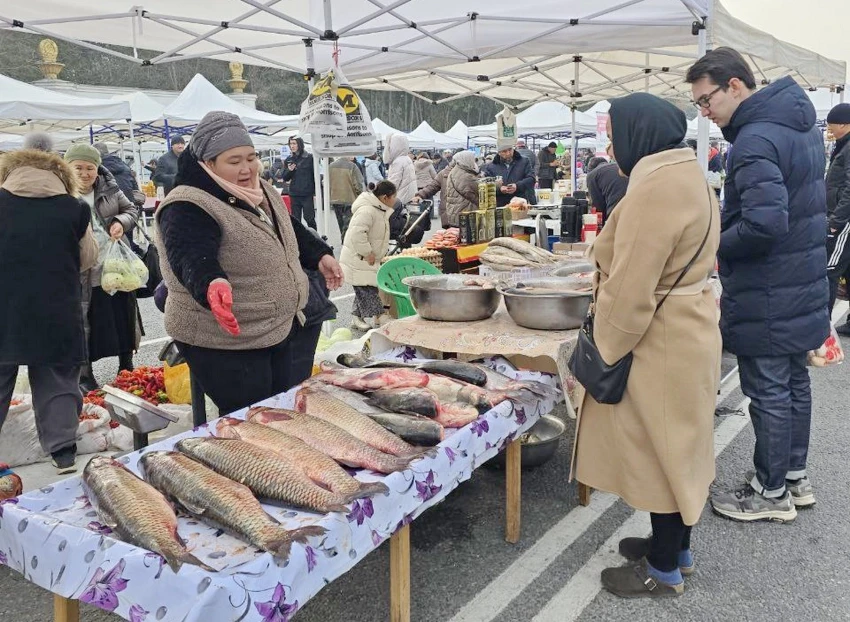 Музыка, общение и фермерcкие продукты: чем удивляет Бишкекская ярмарка.