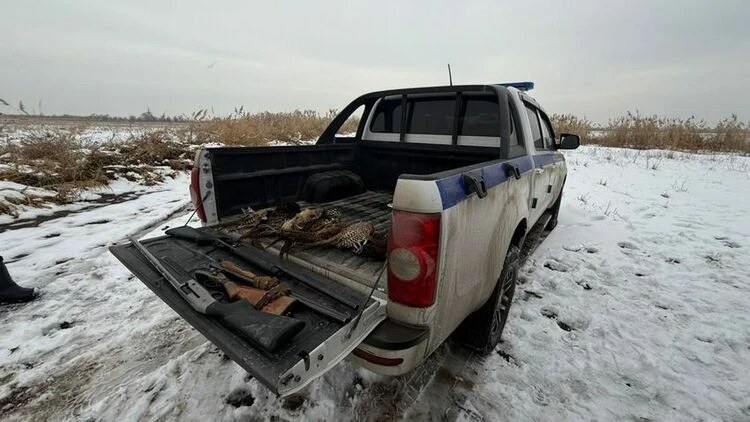 В Чуйской области нарушителей правил охоты оштрафовали на 250 тысяч сомов