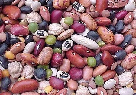 Кыргызстан ведет переговоры по экспорту фасоли на рынок Дубая