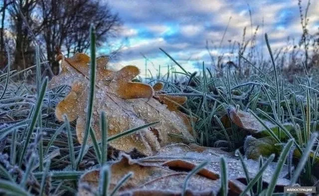 Времена года на Земле сильно различаются на одной и той же широте – открытие