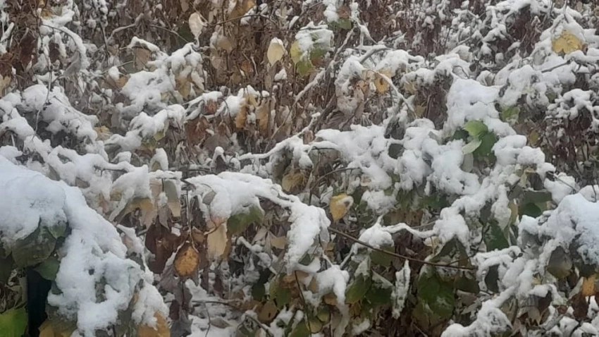 Штормовые предупреждения объявили почти по всему Казахстану