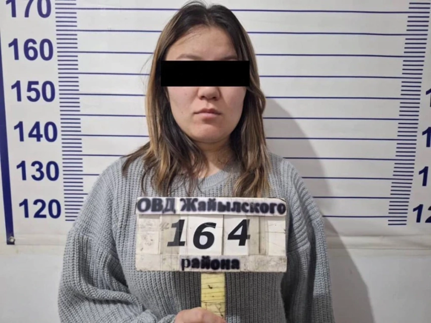 Задержаны двое дропперов, подозреваемых в причастности к краже 3 млн сомов у пенсионерки