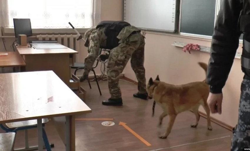 В пяти школах Бишкека не было обнаружено взрывных устройств