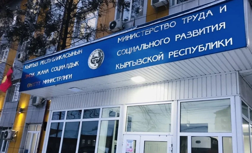 По каким вопросам чаще всего кыргызстанцы обращались в Минтруда – данные