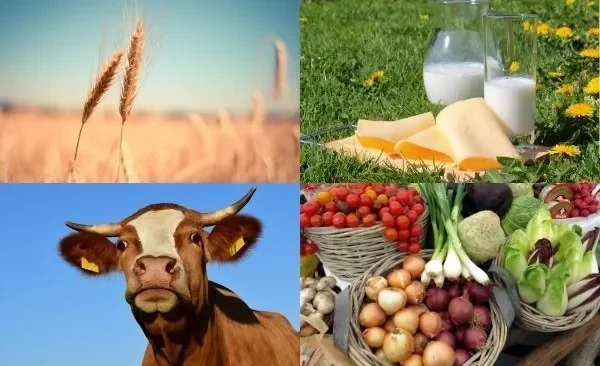 Экспорт кыргызской продукции набирает обороты