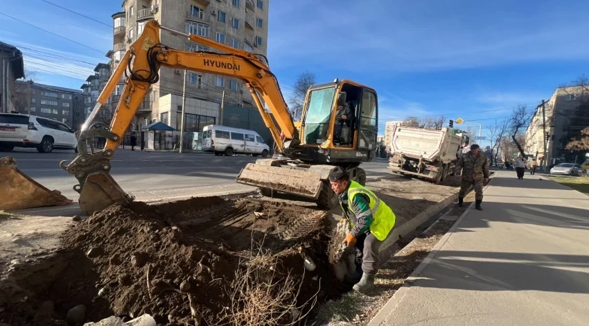 Когда деревья закончились: в Бишкеке занялись массовой ликвидацией пней