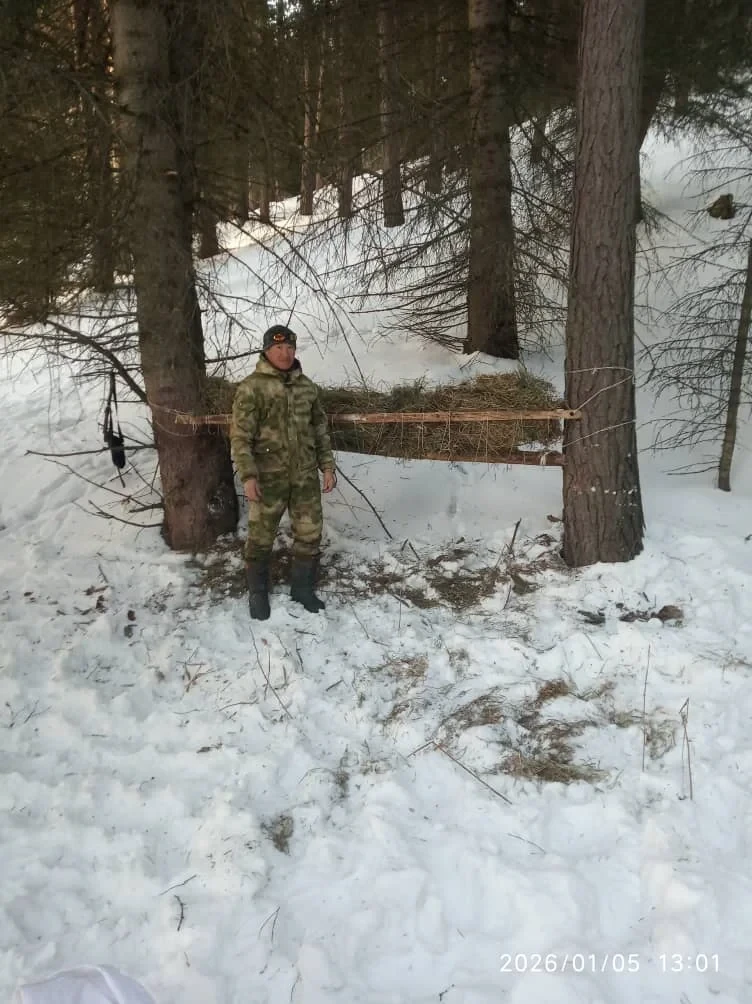 В Чон-Кеминском парке засняли диких кабанов и косуль
